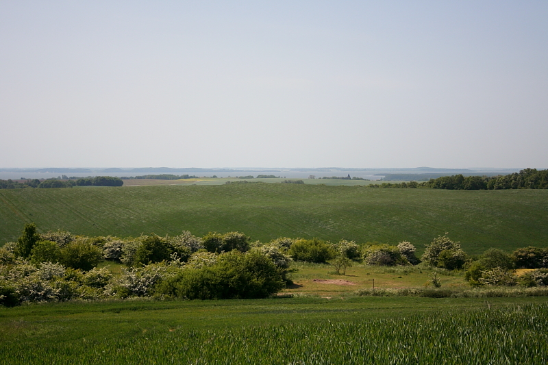 Killikus&reg; Fotographie